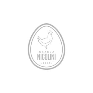 logo-nicolini